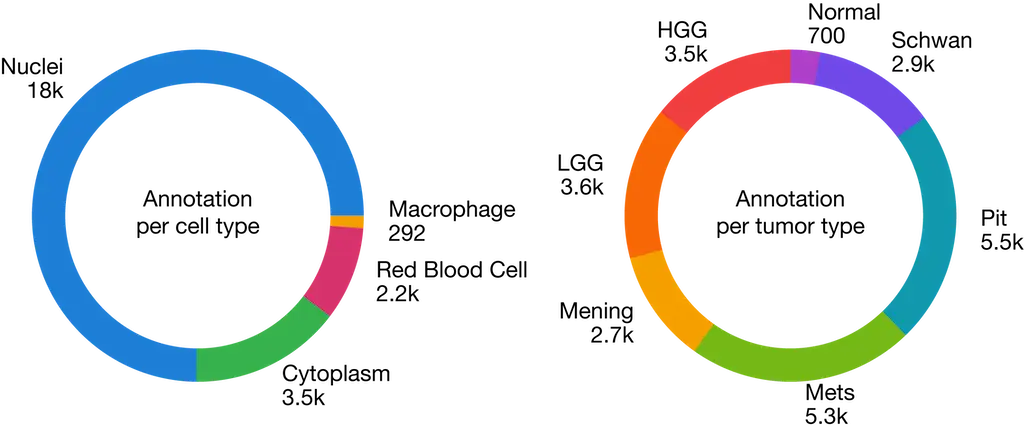 Annotation statistics