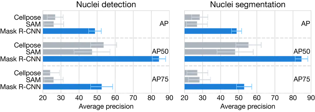 Nuclei instance segmentation metrics